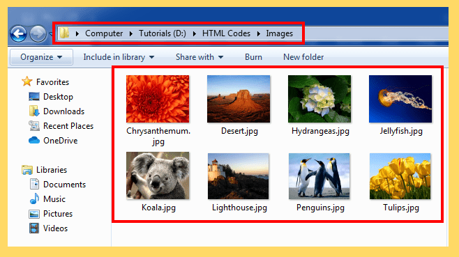 Inserting Images In HTML | TutorialAICSIP
